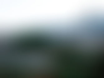 Bill Ackman Expects Trump To Privatize Fannie Mae And Freddie Mac