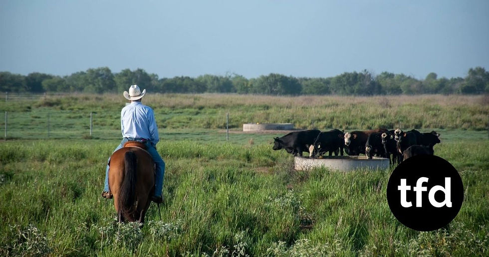 Cattle Ranchers Blast Trump's Beef Import Plan as Threat to U.S. Producers