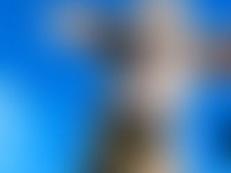 Vaccine Cuts Cow Methane Emissions