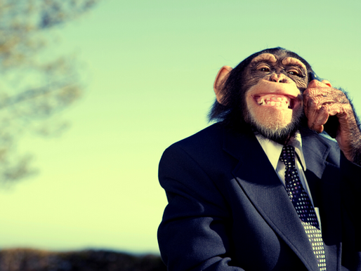 Musk's Neuralink Under Probe Over Bungled Animal Tests