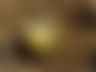 Couple Finds Rare Yellow Diamond