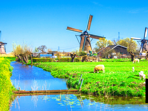 Dutch Farmers Furious Over CO2 Emission Cuts Ordered By Gov't 