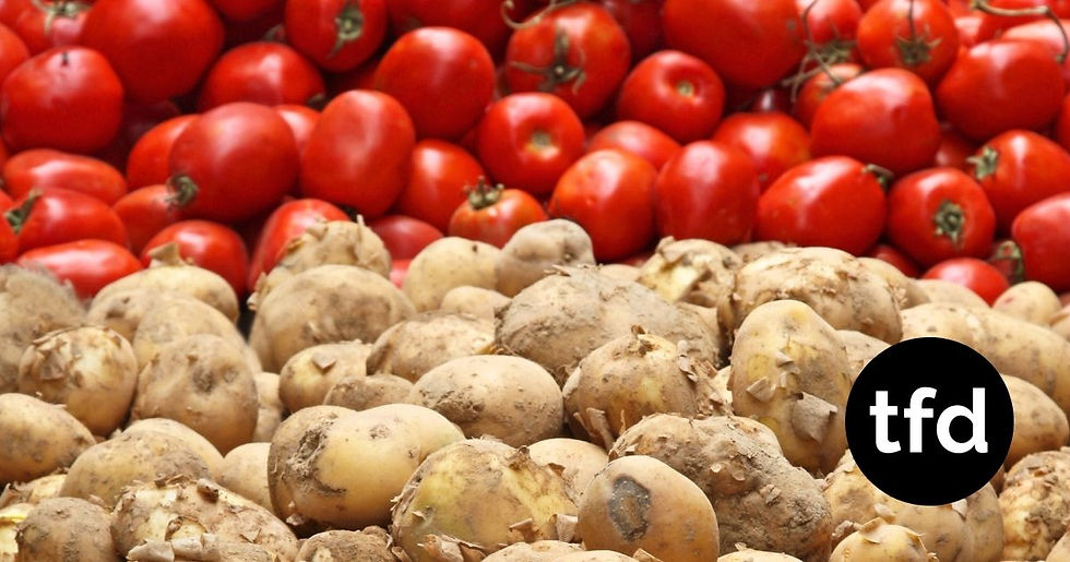 Researchers found that every potato species contained a stable, balanced mix of genetic material from both Etuberosum and tomato plants,