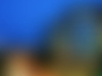 TSMC Isn’t Scared Of CHIPS Act Subsidy Axing