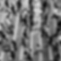 TFD (Facebook Profile) (6).png