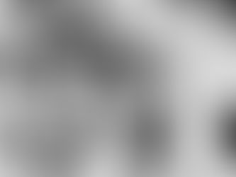 Democracies Slipping in Anti-Corruption Efforts