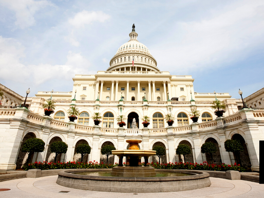 MINORITY-OWNED U.S. FIRMS WAITED FOR MONTHS FOR FEDERAL LOANS