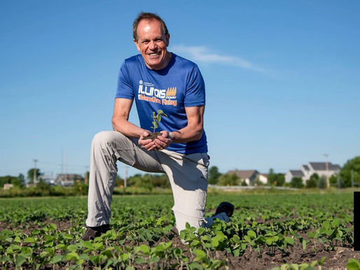 US and UK Scientists Altering Crop Genes To Increase Yields