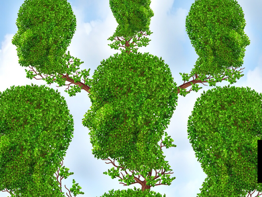 Oxford Creates Largest Human Family Tree With 27M Ancestors