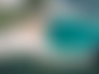 Coral Reef Damage Off Pag-asa Island Assessed