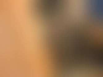 Bitcoin Could Join Gold on Centr Bank Balance Sheets in the Future