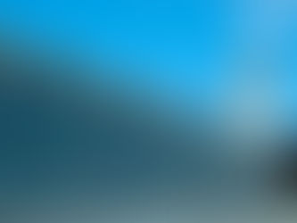 Trump Pushes 250-Ft Arch Criticized by Airport Execs