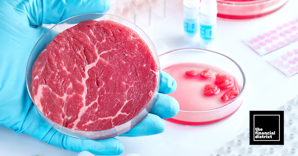 LabGrown Meat 25 Times Worse For Climate Than Beef Unless Production