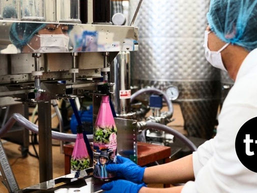 Japan Tests Lightweight Paper-and-Plastic Wine Bottle as Alternative to Glass