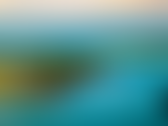 Florida Keys Reefs Bleach As Temperatures Rise