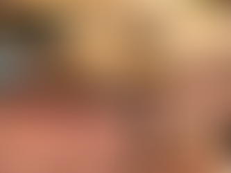 STRAY CATS SAVE RESTAURANT IN OSAKA