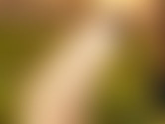 Trump Offers $12-B Aid for Farmers Hit Hard by His Tariffs on China