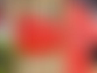 Oracle’s Cloud Push Fuels Growth but Raises Costs