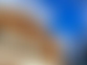 Walmart Reaches Deal To End Shareholder Lawsuits Over Opioids