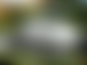 Japan’s $100-Billion Bet on the U.S. Economy