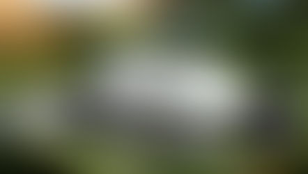 Japan’s $100-Billion Bet on the U.S. Economy