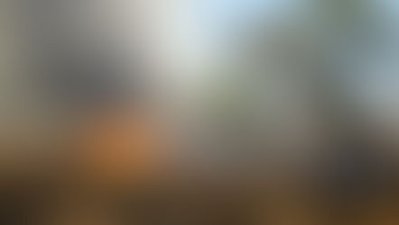 1 Dead, 300 Buildings Destroyed in Aussie Bushfires