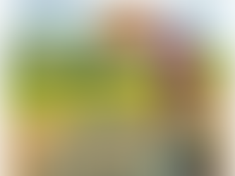 SMALL RICE FARMERS TO RECEIVE CASH AID