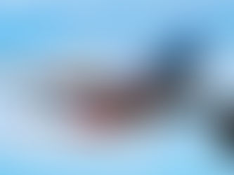 Airlines Get Big Boost from U.S. Deregulatory Moves