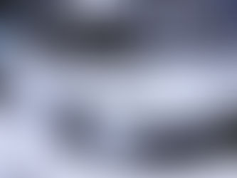 Honda Reports Declining Profit Due to Trump’s Tariffs and EV Moves