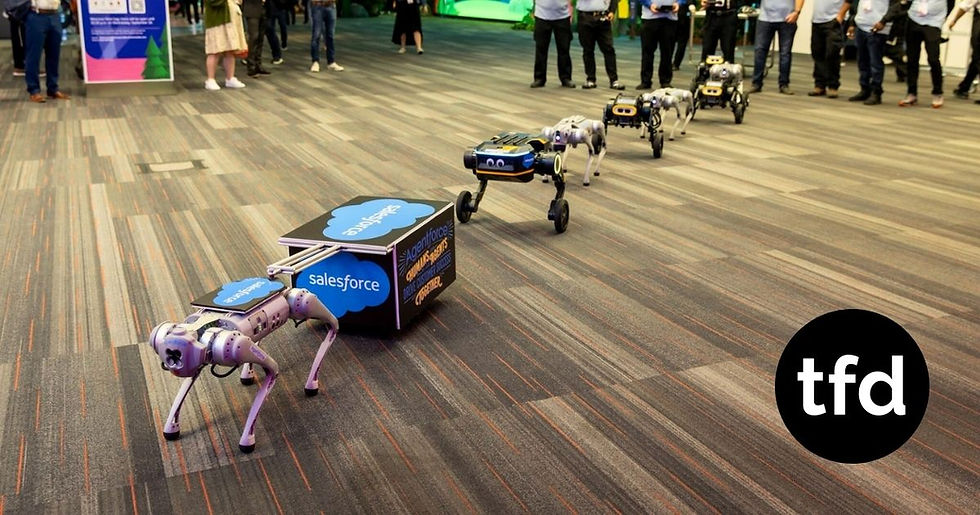 Software Stock Bulls are Still Making a Lethal Assumption