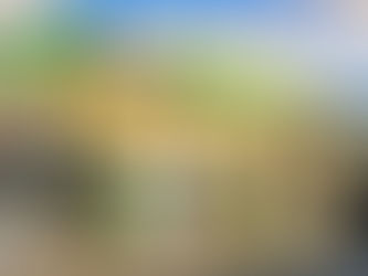 Russian Oil Shutdown Troubles Putin’s Allies in Europe