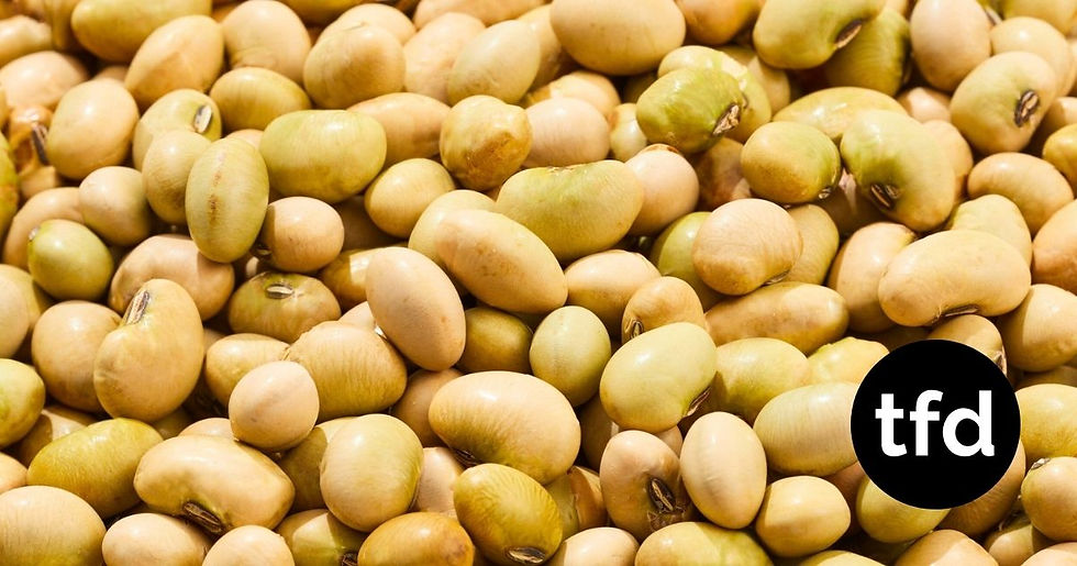 Russia’s Non-GMO Soybean Exports to China Safe from Trump–Xi Deal