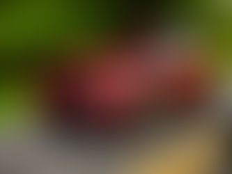 Ford Recalls 85,000 Explorer Police Vehicles Due To Engine Fire Risk