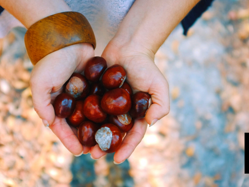 POSSIBLE RELEASE OF U.S. GE CHESTNUT TREES INTO THE WILD HIT