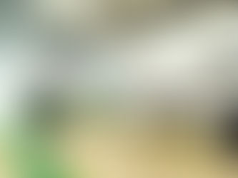 The Aboitiz Equity Disclosure Case—and the Cost of Telling It Late