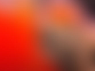 Analyst Predicts Imminent Bear Market Despite Recent Rally