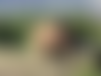 African Activists Use Radioactivity To Combat Rhino Poaching