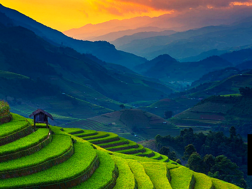 LAND BANK AGRI LOANS REACH P230 BILLION