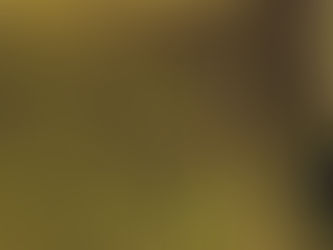 Minnesota Farmers Demand Trade Fix as $50-B Farm Losses Rock Agriculture