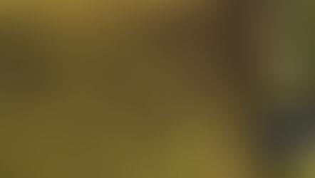 Minnesota Farmers Demand Trade Fix as $50-B Farm Losses Rock Agriculture