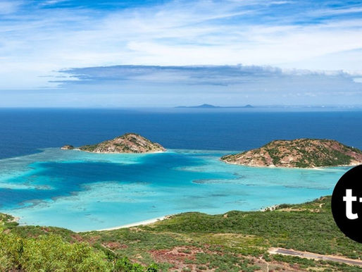 Great Barrier Reef Suffers Worst Coral Decline on Record