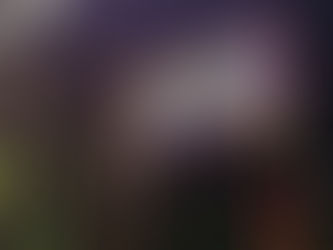 At Least 20 Factories Receive Cargoes with Radioactive Cesium-137