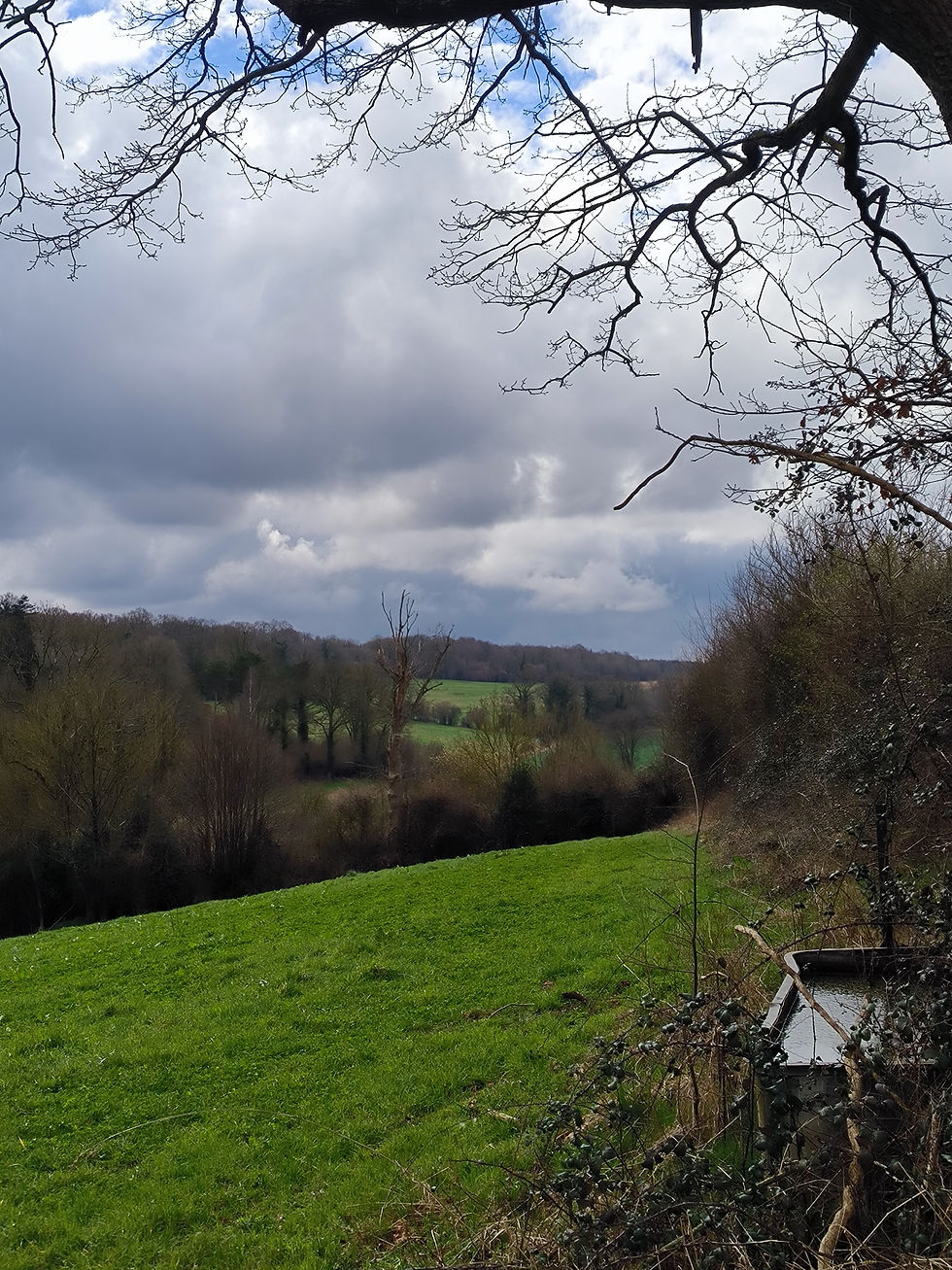 La source de l'Orbiquet