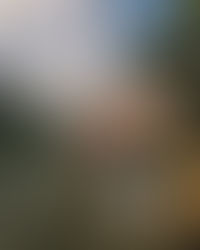 People of Faith Sign Wave for a Living Wage