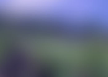 Hawai'i Begins Cleaning Up After Historic Flooding