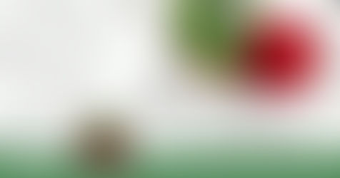 Christmas Carol Blog Hop