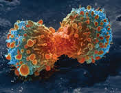 CAN DIET MAKE A DIFFERENCE IN YOUR FIGHT AGAINST CANCER?