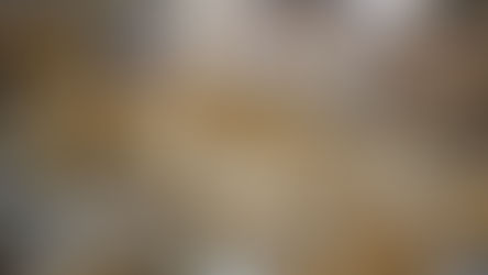 Closing the Loop on  recycling HP Indigo Press Hardware