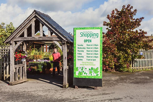 PHOTO-2020-07-30-16-34-51 (1).jpg