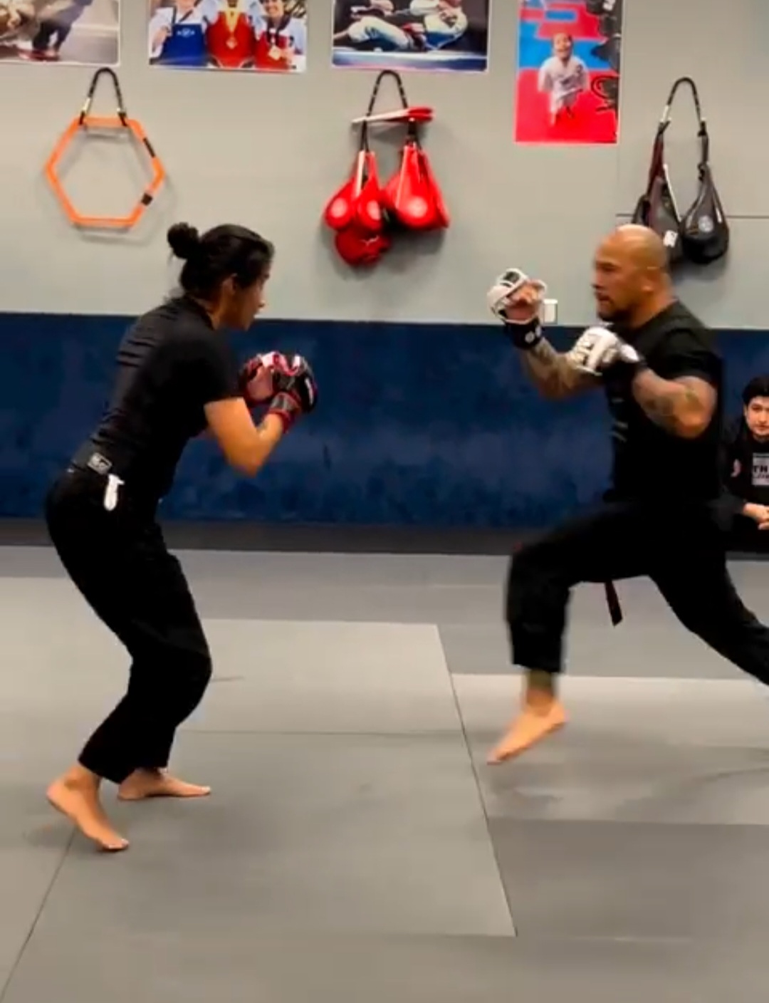 Python Jiu Jitsu facility image